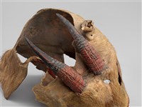 羌頭皮帽藏品圖，第18張